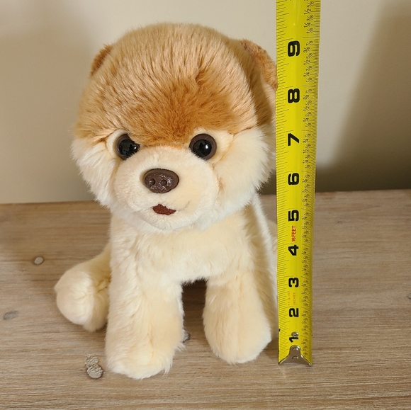 🌟GUND "Boo" The World's Cutest Dog Stuffed Animal Plush Toy Pomeranian 9" - Picture 9 of 9
